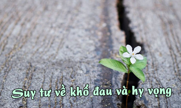 Suy tư về khổ đau và hy vọng